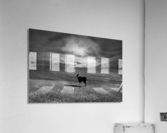 Waiting  Acrylic Print