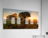 Sunbeams Acrylic Print