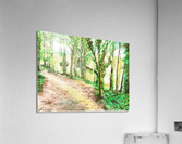 Haig Mill Park Trail Acrylic Print