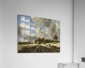 Wheat Fields Acrylic Print