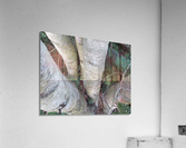 Among the Birches  Acrylic Print
