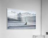 Kachemak Bay Eagle Acrylic Print
