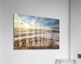 Winter View  Acrylic Print