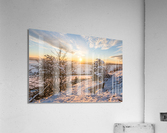 Winter Sunset Acrylic Print