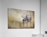 Full_Rack Acrylic Print