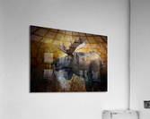 Breath_Taking  Acrylic Print