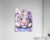Happy Fluffy Tiger Realistic Acrylic Print