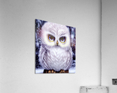 Kawaii Fluffy White Owl Acrylic Print