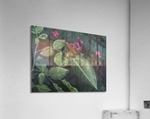 zabulon skipper  Acrylic Print