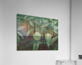 Apples Acrylic Print