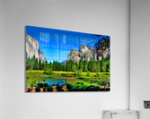 IMG 5198C3 F Acrylic Print