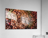 Thawed Acrylic Print