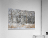 hoar frost  Acrylic Print