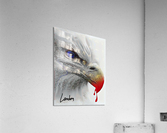 Survival of the Fittest Acrylic Print