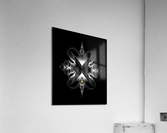 Akcenought Emblem On BlackTypography Design by Xzendor7 Acrylic Print