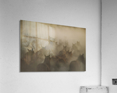 in dust Acrylic Print