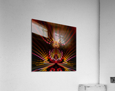 Cat in the Midst of Chaos Acrylic Print