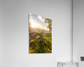 Cliff Ledge Sunset Acrylic Print