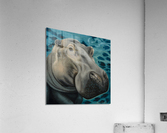 Wonderment Acrylic Print
