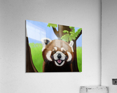 Patience Acrylic Print
