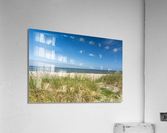 Ocean and Dunes Acrylic Print