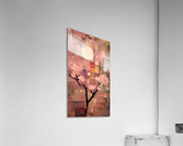 Sakura Moon Acrylic Print