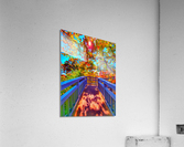 image 5 Acrylic Print