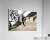 000018 Acrylic Print