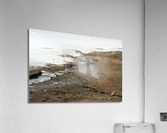 000005 Acrylic Print