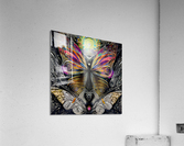 DC1C49AF CFEA 4A35 B717 E3A142F4A7E7 Acrylic Print