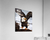 Dancing Eagle Acrylic Print