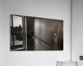 Look_Away Acrylic Print