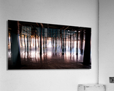 Forrest of The Sea Acrylic Print