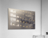 Caronte - Awaiting Acrylic Print