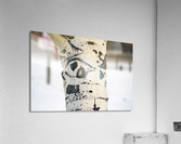 Eye of the tree Acrylic Print