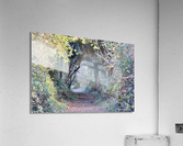 Path Acrylic Print