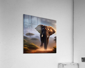 Elephant in the wild.  Acrylic Print