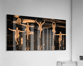Brown Ballet bw  Impression acrylique