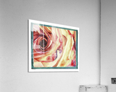 Deep Dive Rose Bloom Acrylic Print