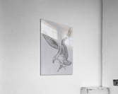 eagle Acrylic Print