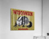 Vintage Wisconsin Badger Mascot Art Acrylic Print