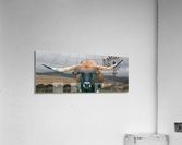 Longhorn Cow - Wide Format - Windmill Acrylic Print