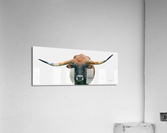 Longhorn Cow - Wide Format - Off White Background Acrylic Print