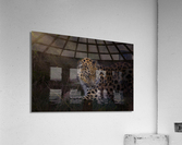 Leopard In Sun Beams - Portrait Acrylic Print