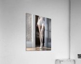 GF 033 Acrylic Print