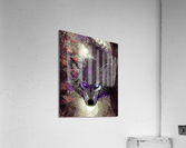 47986FC7 E3D5 414E 8E39 9A47E6B00F66 Acrylic Print