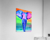 F538EC60 CD81 4026 BB64 247667FF963A Acrylic Print