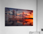 Windswept Acrylic Print