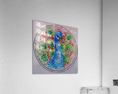 Peacock Acrylic Print