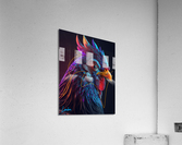 Hyper realistic Chicken Acrylic Print